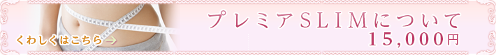 プレミアSLIMについて
15,000円 くわしくはこちら