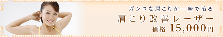 ガンコな肩こりが一発で治る
肩こり改善レーザー
価格 15,000円