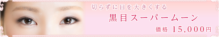 切らずに目を大きくする
黒目スーパームーン
価格15,000円